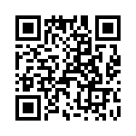 T38318-13-0 QRCode