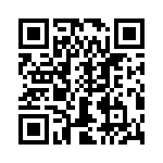 T38320-12-0 QRCode