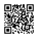 T38320-22-0 QRCode