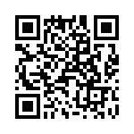 T38322-04-0 QRCode