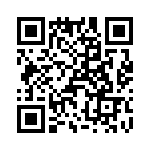 T38328-02-0 QRCode