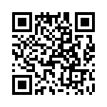 T38328-06-0 QRCode