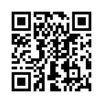 T38331-04-0 QRCode