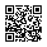 T38332-09-0 QRCode