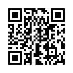 T38335-13-0 QRCode