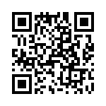 T38337-03-0 QRCode