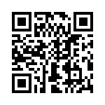 T38337-09-0 QRCode