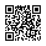 T38338-19-0 QRCode