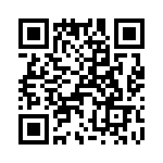 T38338-23-0 QRCode