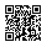 T38360-11-0 QRCode