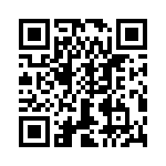 T38360-22-0 QRCode