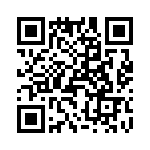 T38362-02-0 QRCode