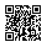 T38363-07-0 QRCode