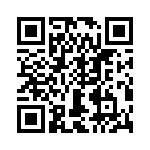 T38411-02-0 QRCode