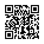 T38411-09-0 QRCode