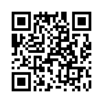 T38411-19-0 QRCode