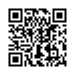 T38411-25-0 QRCode