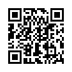 T38412-03-0 QRCode