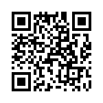 T38413-01-0 QRCode