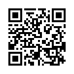 T38413-10-0 QRCode