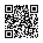 T38420-01-0 QRCode