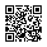 T38420-12-0 QRCode