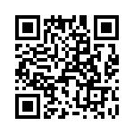 T38423-09-0 QRCode