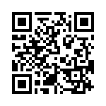 T38423-11-0 QRCode