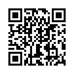 T38423-12-0 QRCode