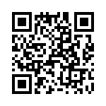 T38427-12-0 QRCode