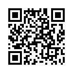 T38431-25-0 QRCode