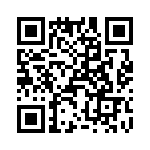 T38432-02-0 QRCode