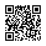 T38432-12-0 QRCode