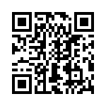 T38432-13-0 QRCode