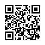 T38432-17-0 QRCode