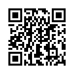 T38435-22-0 QRCode