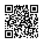 T38438-04-0 QRCode