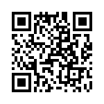 T38440-03-0 QRCode