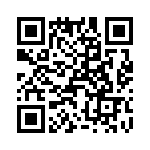 T38440-07-0 QRCode