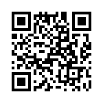 T38440-20-0 QRCode