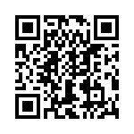 T38440-24-0 QRCode