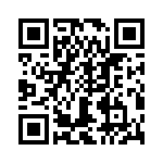 T38441-06-0 QRCode