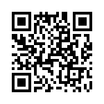 T38462-11-0 QRCode