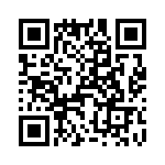 T38462-12-0 QRCode