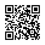 T38463-11-0 QRCode