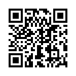 T38510-09-0 QRCode