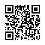 T38510-13-0 QRCode