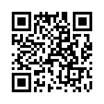 T38511-10-0 QRCode