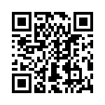 T38512-04-0 QRCode