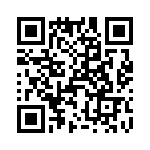 T38517-12-0 QRCode